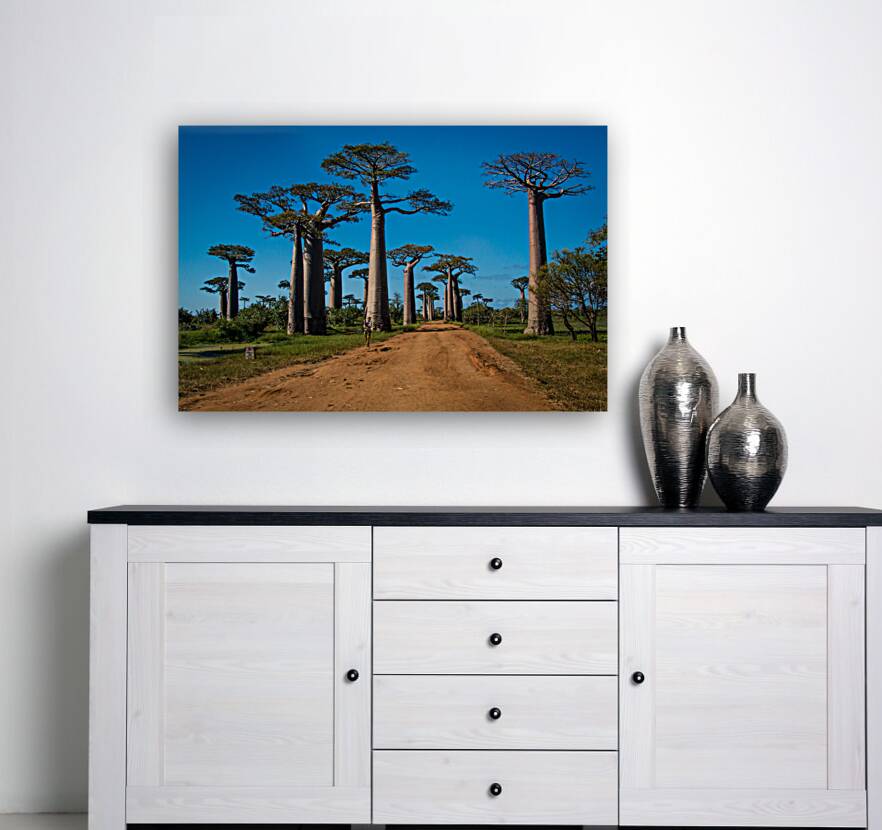 Avenue of the Baobabs Reproduction