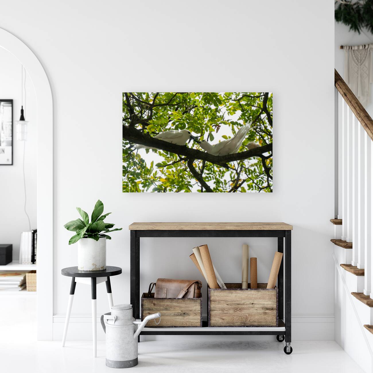 White Terns Reproduction