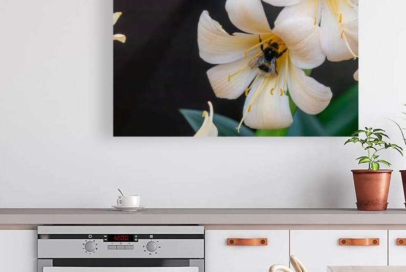 Bumblebee on a Royal lily by Adel B Korkor