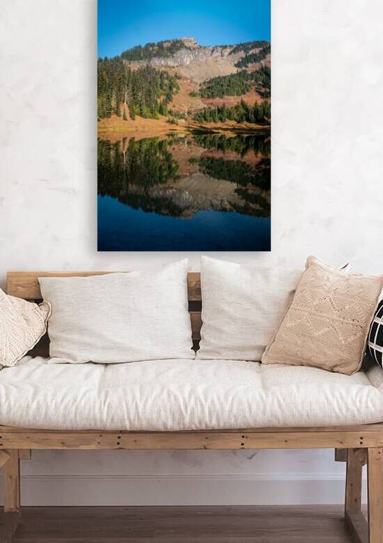 Mount Rainier Mirror Landscape by Adel B Korkor