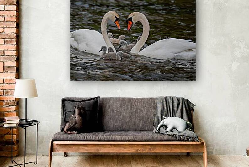 Mute Swans by Adel B Korkor