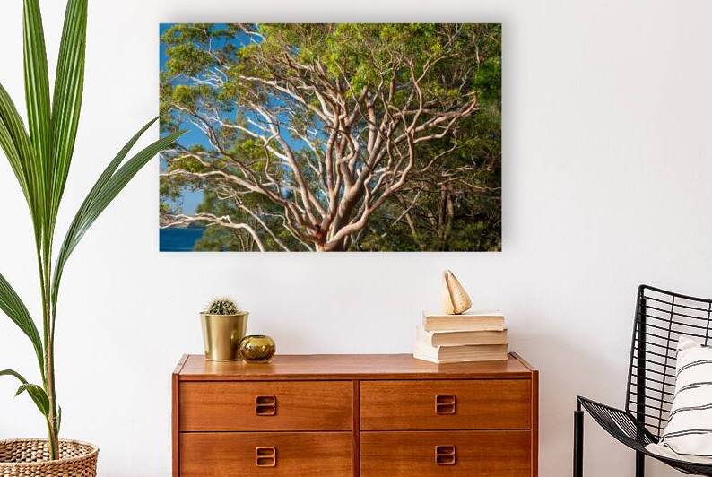 Gum Tree by Adel B Korkor