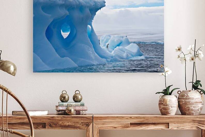 Lone Penguin by Adel B Korkor