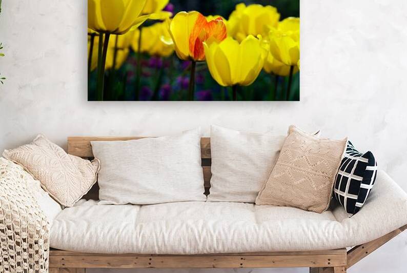 Being Different Is Special by Adel B Korkor