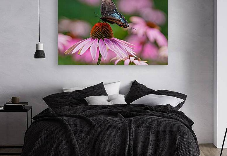 Red-Spotted Purple Admiral Butterfly by Adel B Korkor