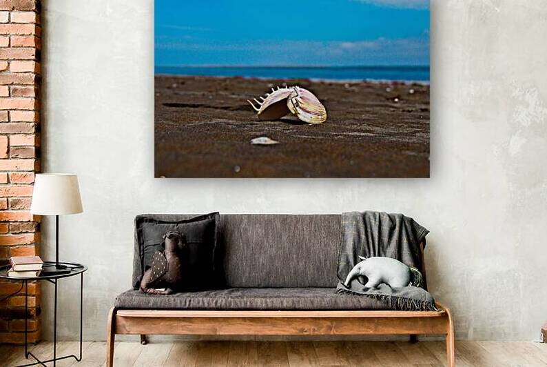 Angel Wing Sea Shell by Adel B Korkor