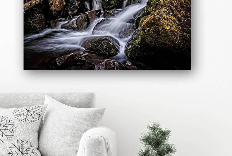 Proxy Creek Oregon by Adel B Korkor