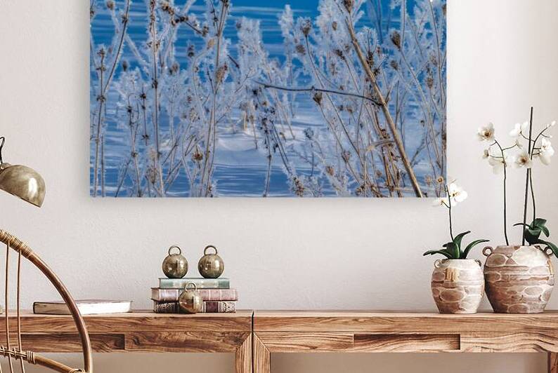 Ice Crystals by Adel B Korkor