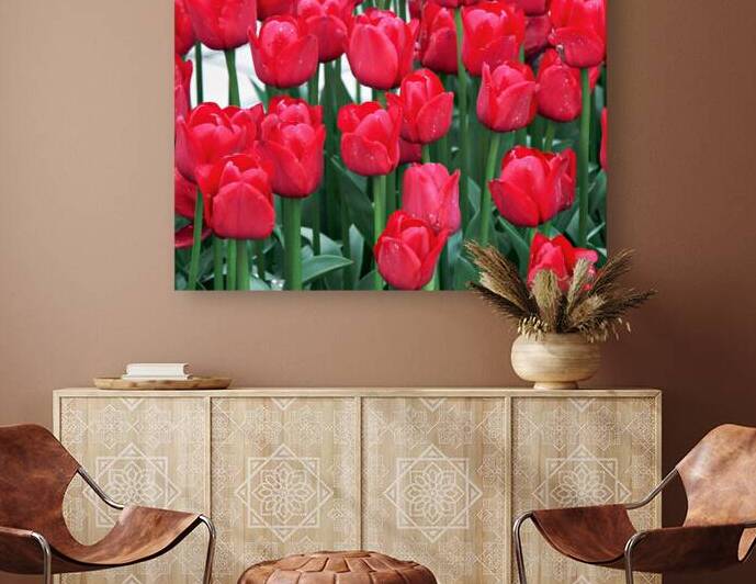 Red Tulips by Adel B Korkor