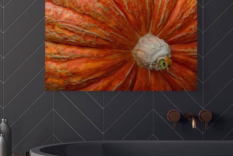 Giant Pumpkin by Adel B Korkor