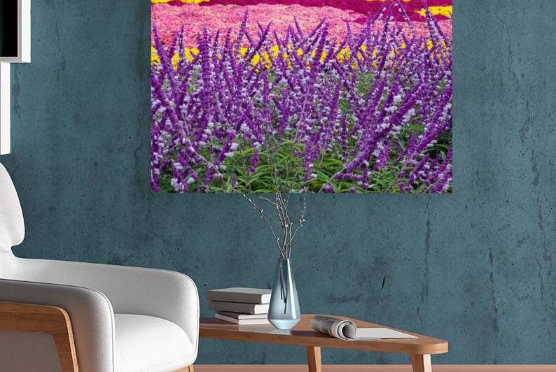 Skullcap Flowers by Adel B Korkor