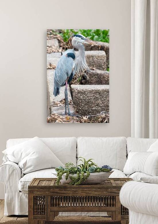 Great Blue Heron by Adel B Korkor