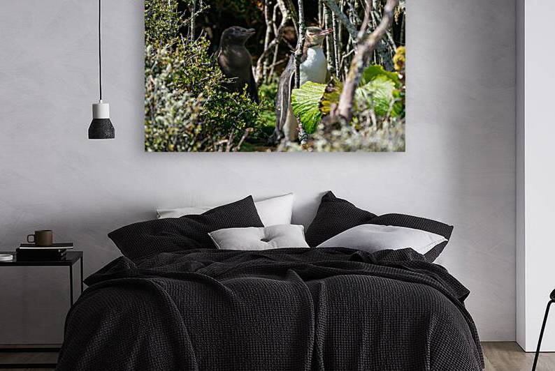 Yellow-eyed Penguin by Adel B Korkor