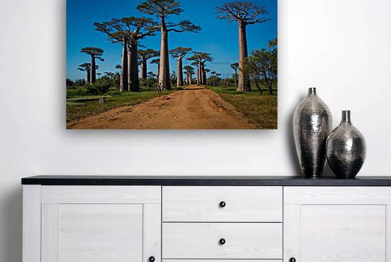 Avenue of the Baobabs by Adel B Korkor