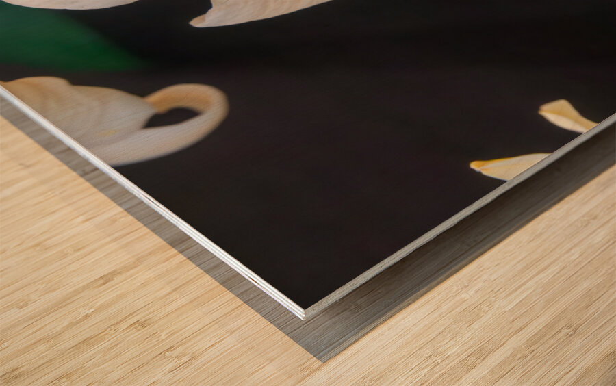 Bumblebee on a Royal lily Wood print