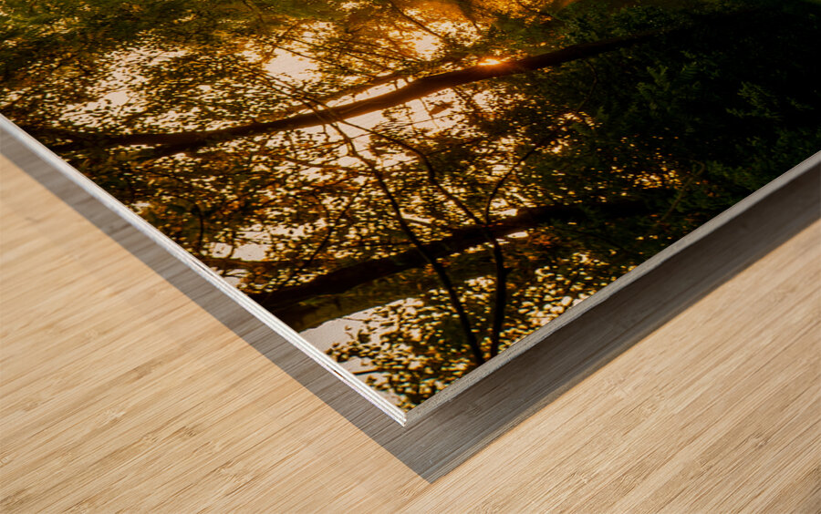 Sunbeam Landscape Wood print