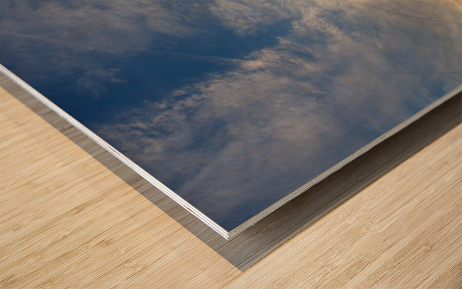 Early Morning at the Washington Monument Wood print