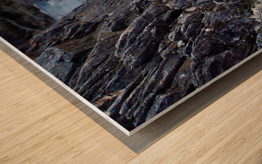 Chinstrap Penguin Wood print