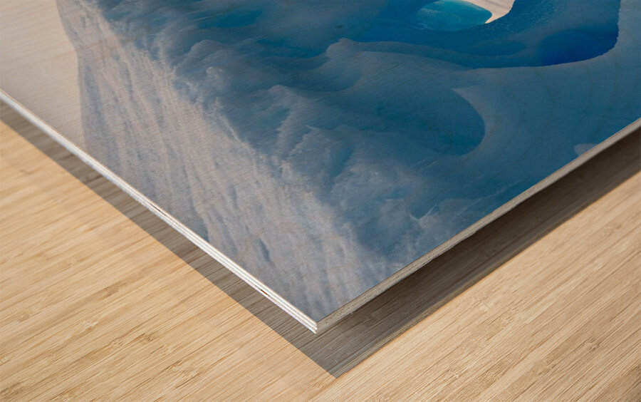 Lone Penguin Wood print