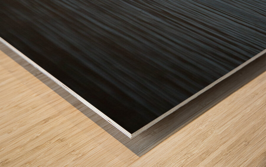 Hooded Merganser Wood print