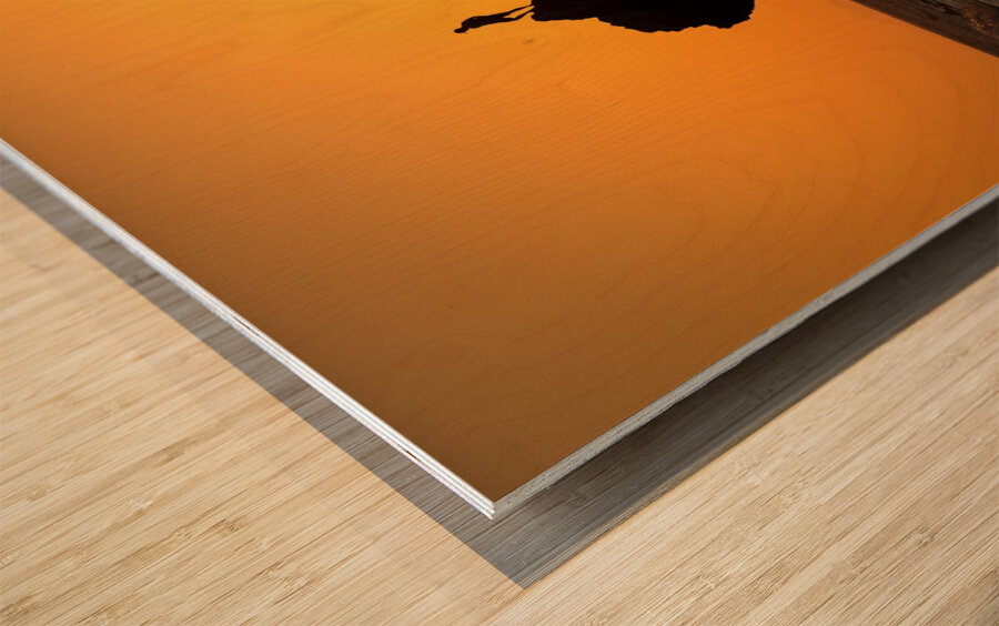 Triumph at Malibu Beach California Wood print