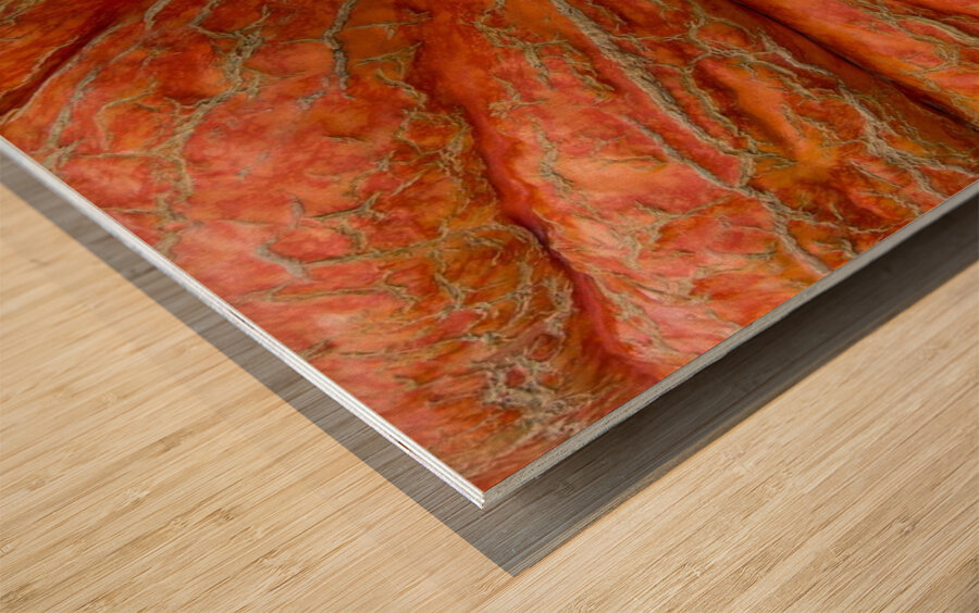 Giant Pumpkin Wood print