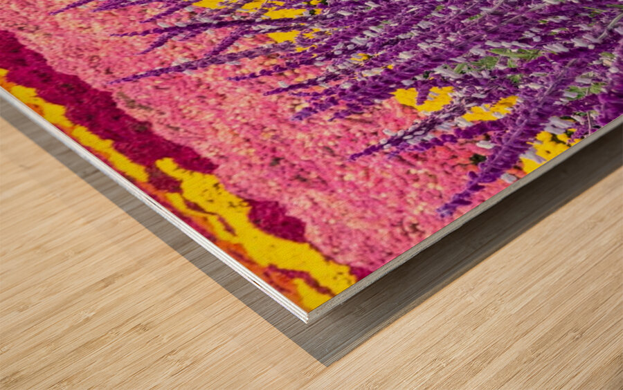 Skullcap Flowers Wood print