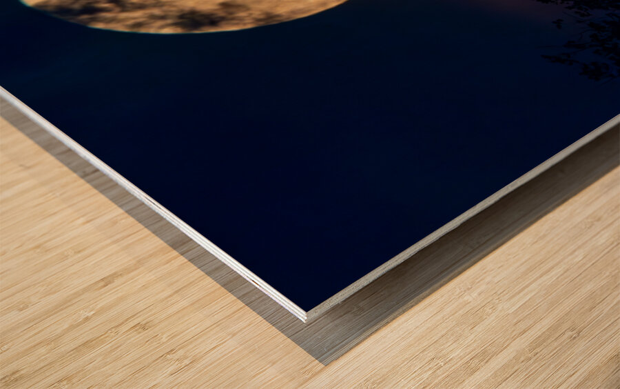 Moon Lit Night Wood print
