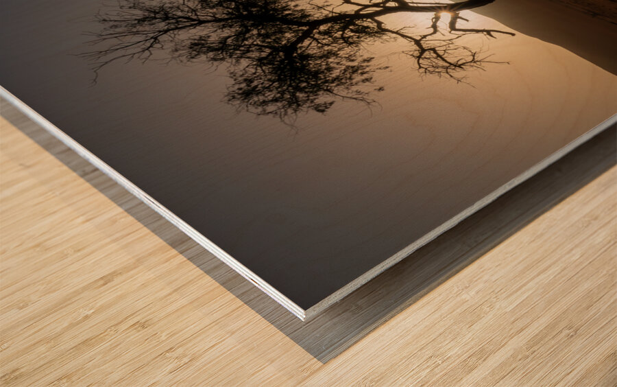 A Lone Tree in the Desert Wood print