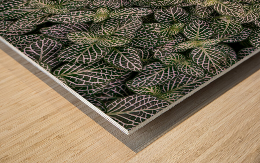 Nerve Plant Wood print