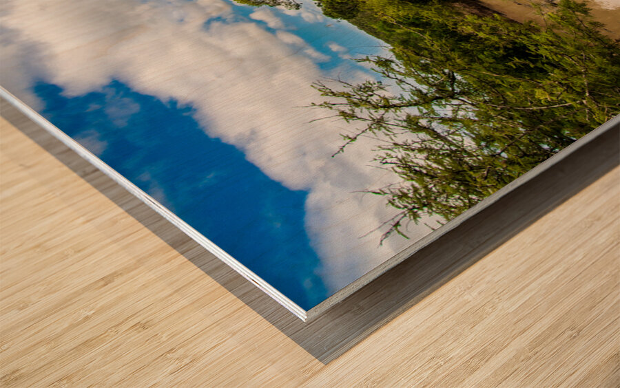 Rhinos at the Hluhluwe–Imfolozi Park Wood print