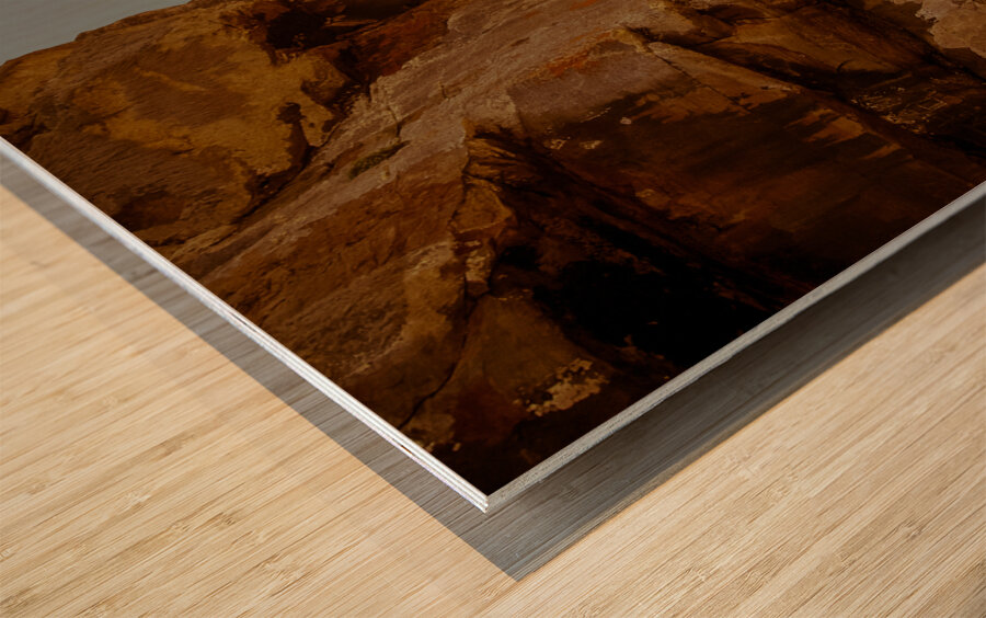 A Face In The Rock Wood print