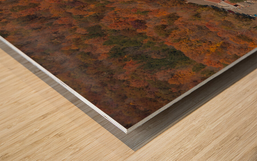 Holy Hill Wood print