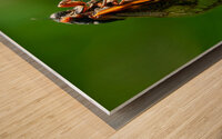 Cicadas Wood print