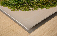 Yose-Ue Forest Garden Impression sur bois