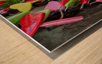 Love Locks Wood print