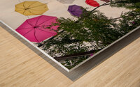 Umbrella Lane Wood print