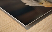Bald Eagle Wood print