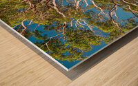 Gum Tree Wood print