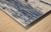 Blue-Winged Teal Wood print